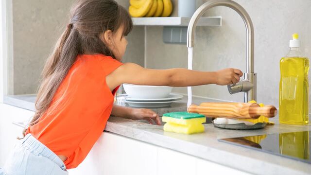 La asquerosa razón por la que deberías cambiar la esponja para lavar platos por un cepillo. (Foto: Freepik)