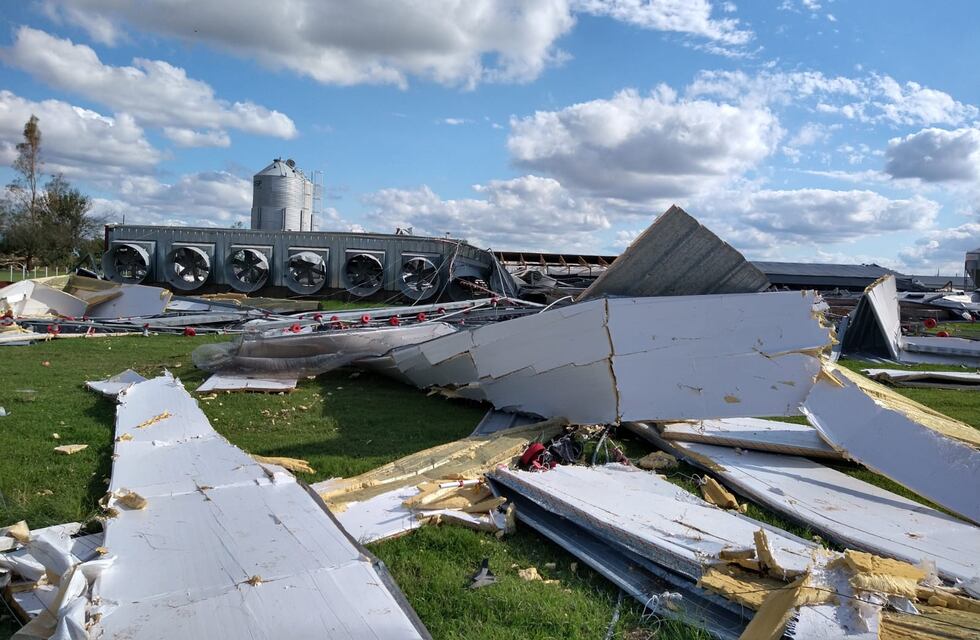 Sur de Córdoba: la tormenta causó una pérdida millonaria a un productor, con la muerte de 140.000 pollos