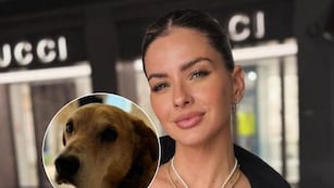 Falleció el perro de la China Suárez y acusan a Mauro Icardi por la tragedia: “Electrocutado”.