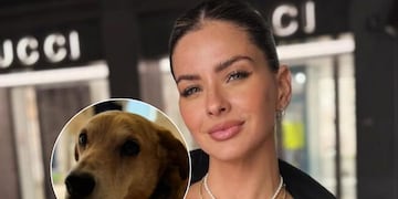 Falleció el perro de la China Suárez y acusan a Mauro Icardi por la tragedia: “Electrocutado”.