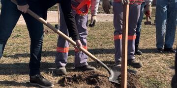 Se concretó la plantación de 55 algarrobos blancos y 5 pezuñas de vaca en las lagunas de retardo del barrio Mora.
