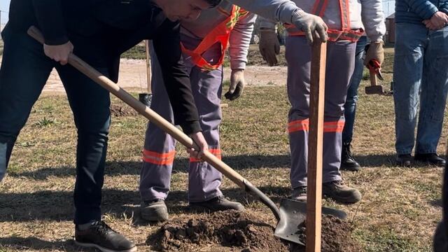 Se concretó la plantación de 55 algarrobos blancos y 5 pezuñas de vaca en las lagunas de retardo del barrio Mora.