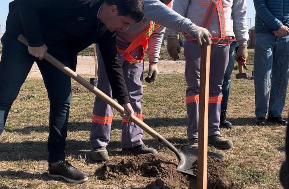 Plantación de árboles en la semana del árbol