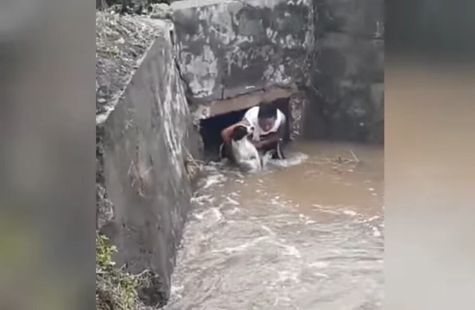 Un hombre se arrojó a un canal para salvar la vida a un perro callejero