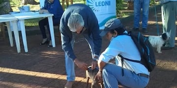 Inician campaña de vacunación contra la rabia en Puerto Leoni