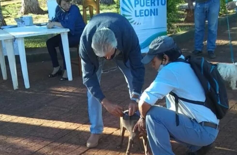 Inician campaña de vacunación contra la rabia en Puerto Leoni