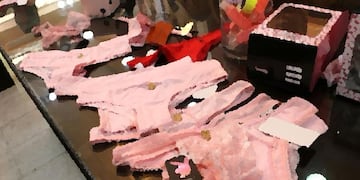 Pinceladas literarias especial fin de año: Bombacha rosa