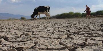 Temen por las fuertes lluvias que puedan caer sobre la Pampa Húmeda y que dañe la tierra