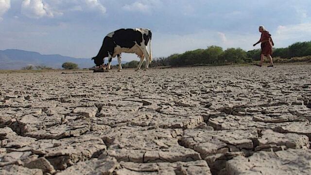 Las sequias son cada vez más frecuentes por la crisis climática