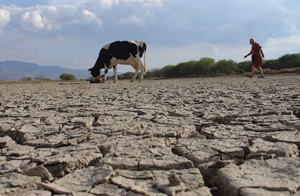 CARBAP Reclama acciones urgentes y de fondo al Gobierno por la sequía