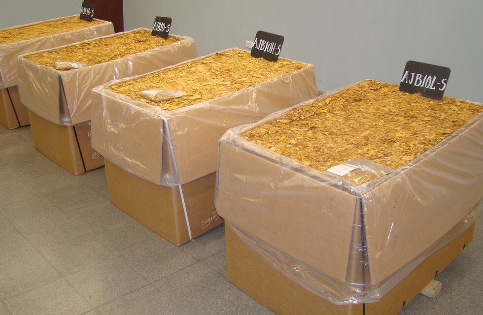 Cuestionando las retenciones, tabacaleros negocian el precio de su producto