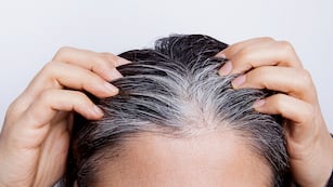 Cómo eliminar las canas.