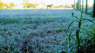 Córdoba. Varias localidades amanecieron con temperaturas bajo cero (Gentileza).