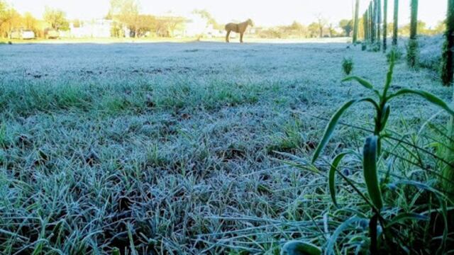 Córdoba. Varias localidades amanecieron con temperaturas bajo cero (Gentileza).