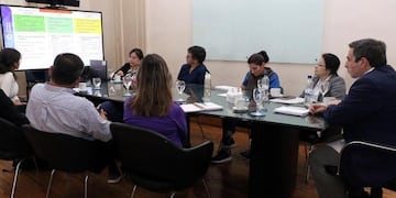 Preocupación por el dengue: Tucumán acumula más de 19 mil casos