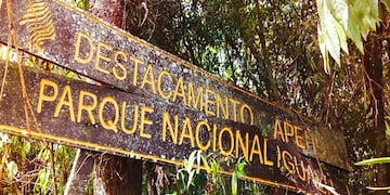 Reabrirán caminos de vigilancia del “Alto Iguazú” para combatir la caza furtiva.