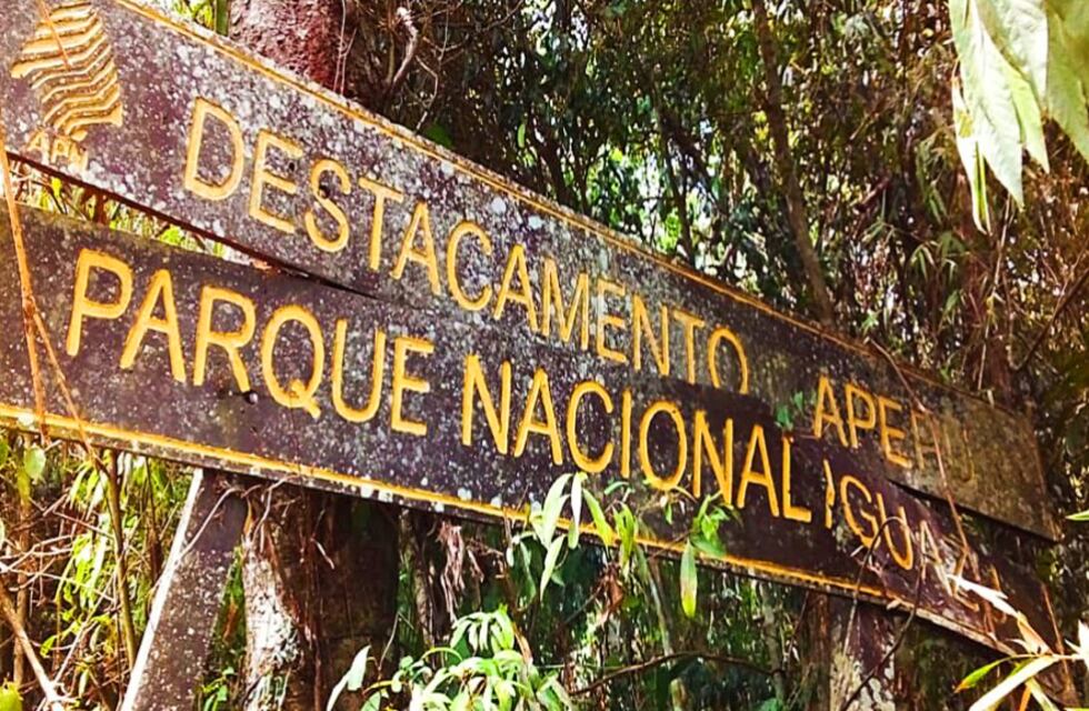 Reabrirán caminos de vigilancia del “Alto Iguazú” para combatir la caza furtiva