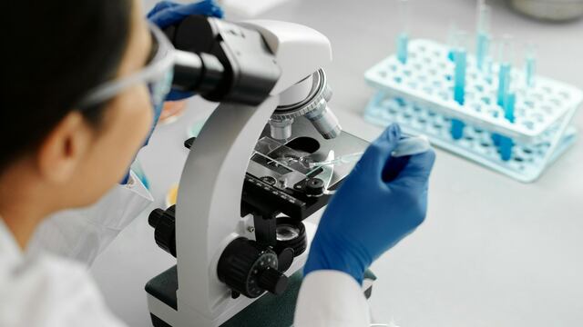 Cómo es el test que revela tus orígenes y si sos propenso a diabetes, cáncer o problemas cardíacos