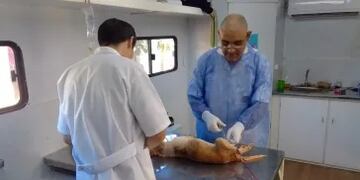 Oberá: el Quirófano Móvil se encuentra presente en barrio Norte.