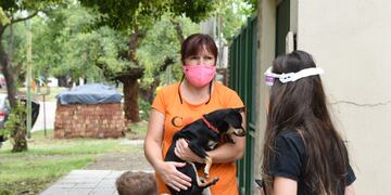 Quirófano Móvil donde se hacen castraciones en Rafaela