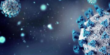 Preocupación mundial: de qué trata el norovirus, el virus del vómito con alta carga de contagiosidad