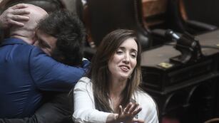 Villarruel busca llevar el debate al reciento antes de que termine enero. Foto Federico Lopez Claro