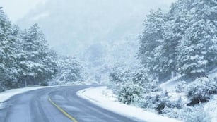 La nevada en San Martín de los Andes dejó unas postales impresionantes.