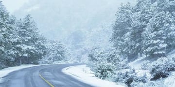 La nevada en San Martín de los Andes dejó unas postales impresionantes.