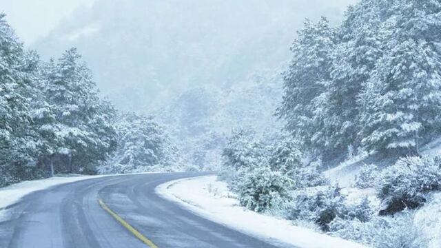 La nevada en San Martín de los Andes dejó unas postales impresionantes.