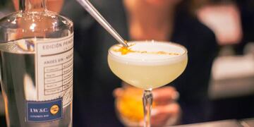 Andes Gin fue creado en San Rafael y ganó la medalla de oro en Londres.