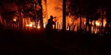 El debate sobre el aumento de penas por incendios se posterga para las sesiones ordinarias.