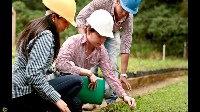 Estudiantes de Gestión Ambiental. Web.