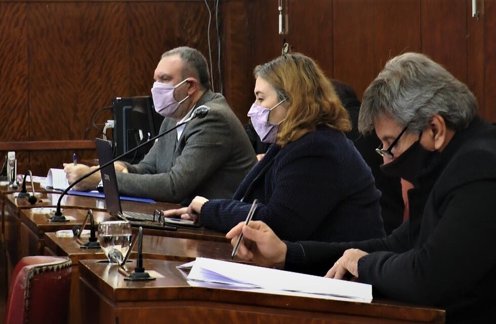 Se aprobó en Comisión la Emergencia en Seguridad propuesta por el Frente de Todos