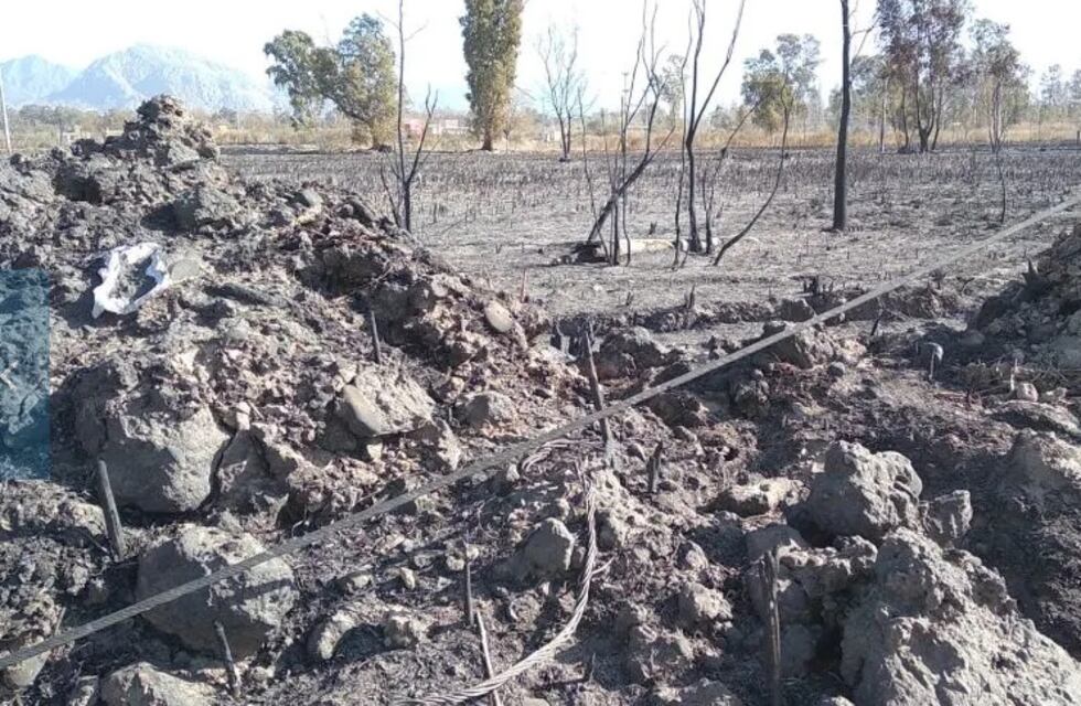 Son 510 las hectáreas que fueron arrasadas por el fuego en San Juan