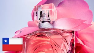 ¿Conviene comprar en Chile?: esto es lo que vale el perfume La Vie Est Belle de Lancome.