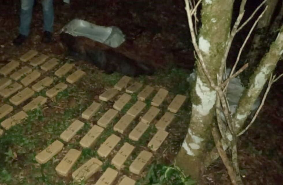 Encontraron 30 kilos de marihuana en una chacra en Garuhapé