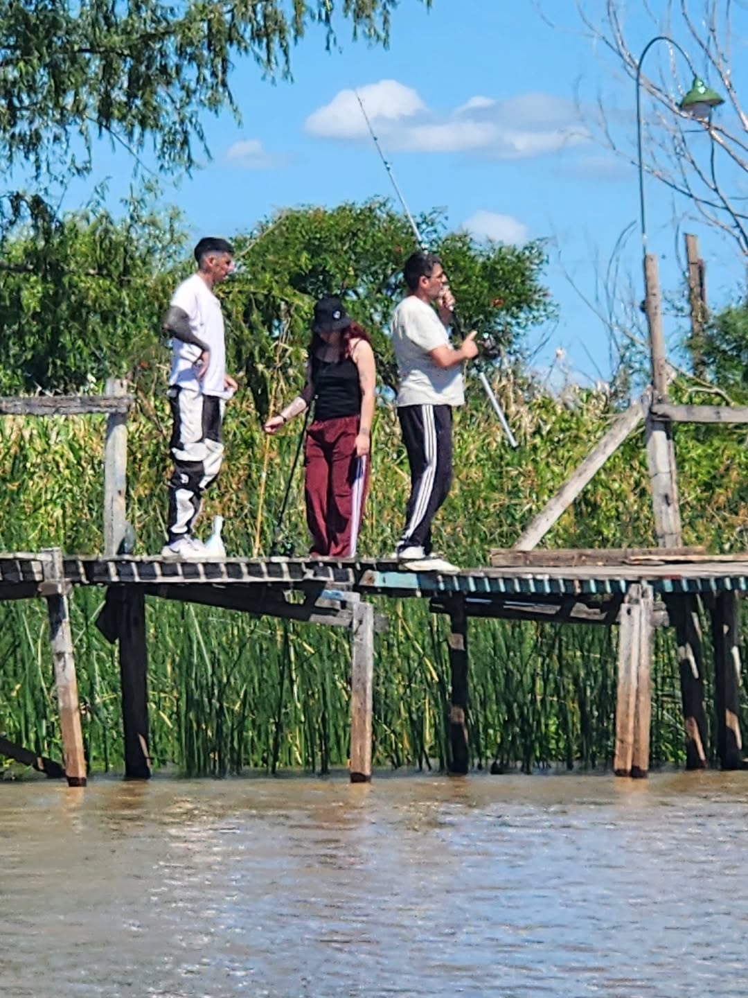 Ibicuy turismo: Histórico boom turístico en el Delta entrerriano