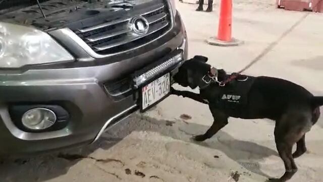 A pesar del artilugio dispuesto para ocultar la droga, el perro Kuai detectó la cocaína en el zona de motor del vehículo.