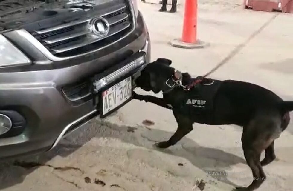 Viajaban desde Perú trayendo droga, pero en Jujuy los descubrieron