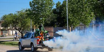 Chau Mosquito, el programa contra el Dengue del Municipio de Resistencia.