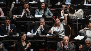"Megasesión" en Diputados de este miércoles 6 de agosto. (Gentileza Clarín)