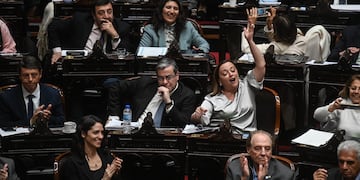 "Megasesión" en Diputados de este miércoles 6 de agosto. (Gentileza Clarín)