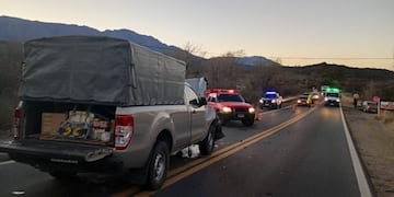 Charbonier: dos heridos tras chocar contra una vaca en la Ruta 38