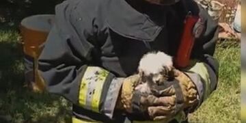 El video con el resultado positivo en la ciudad de Córdoba.