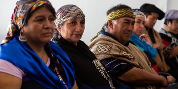 Liberaron a una de las mapuches que había sido detenida en Villa Mascardi.