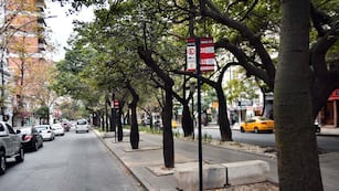 El policía estaba de franco y por tomar un colectivo cuando sufrió el robo en Córdoba. (Pedro Castillo/ La Voz)