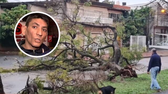 Habló el cadete que casi es aplastado por un árbol en Rosario.