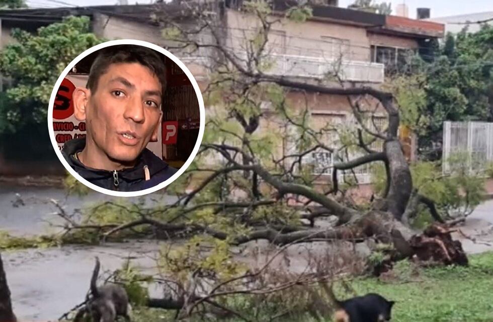 Se salvó de milagro: un cadete “zafó” por milímetros de ser aplastado por un árbol en Rosario y el video se viralizó