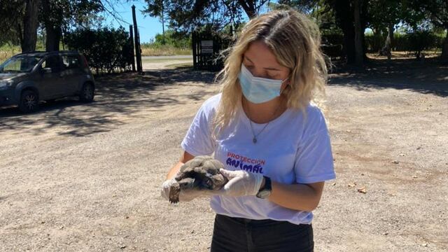 El Municipio recibió una denuncia por parte de un vecino.