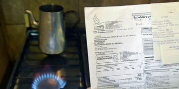 Calefacción de luz o de gas ¿Qué es más barato en Argentina? Foto: Orlando Pelichotti